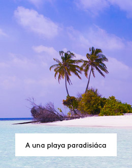 emotions – P1 R3: A una playa paradisiáca
