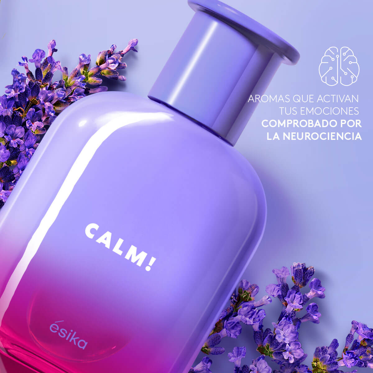 Perfume Calm
